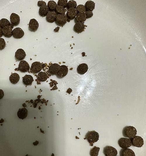 猫粮旁边的虫子咬伤了怎么办？