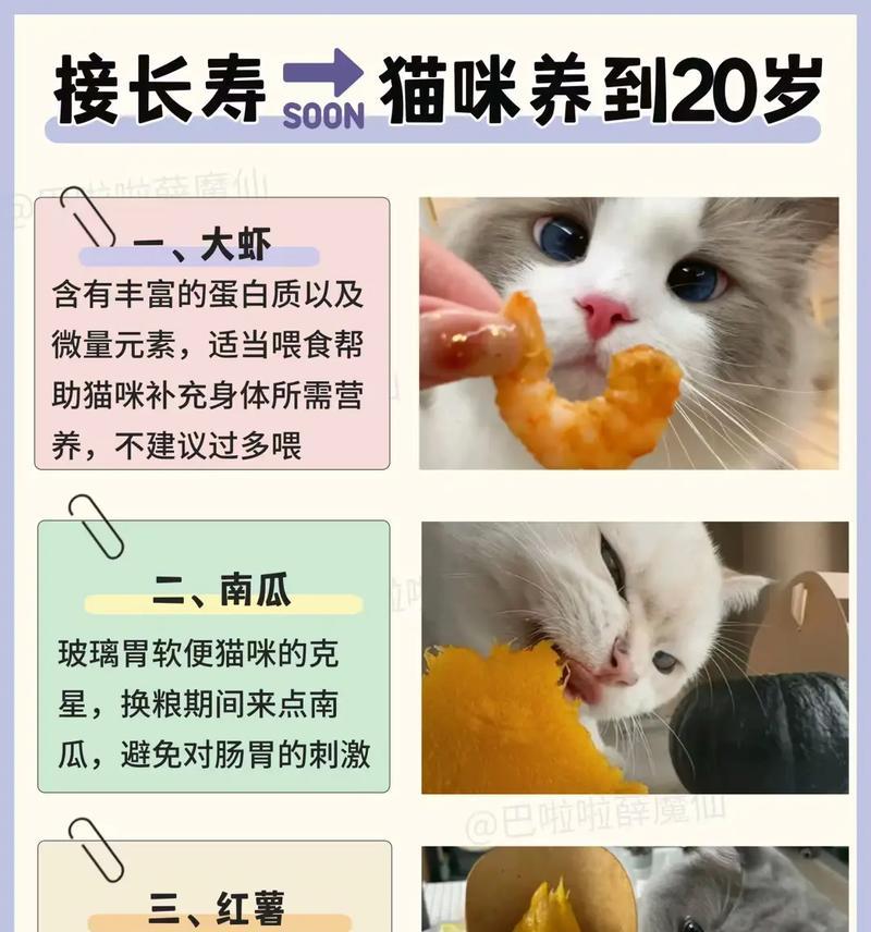 幼猫到家后如何正确喂食猫粮？有哪些注意事项？