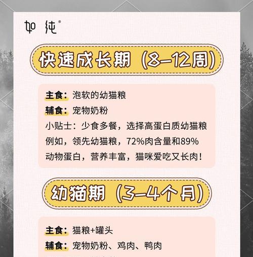 幼猫到家后如何正确喂食猫粮？有哪些注意事项？