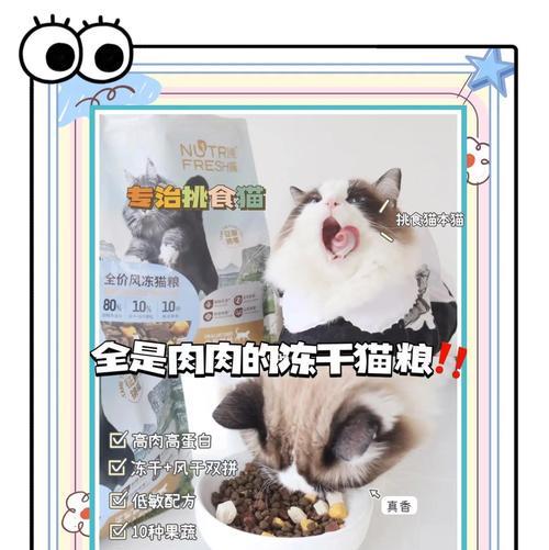 猫粮与冻干猫粮有何不同？各自的优缺点是什么？