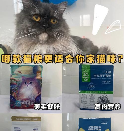 塔姆猫适合哪种猫粮？
