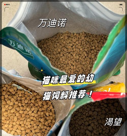 幼猫应该吃什么样的猫粮？