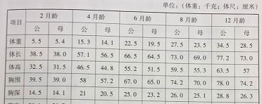 幼犬德牧的标准体重是多少？如何监测幼犬的健康体重？