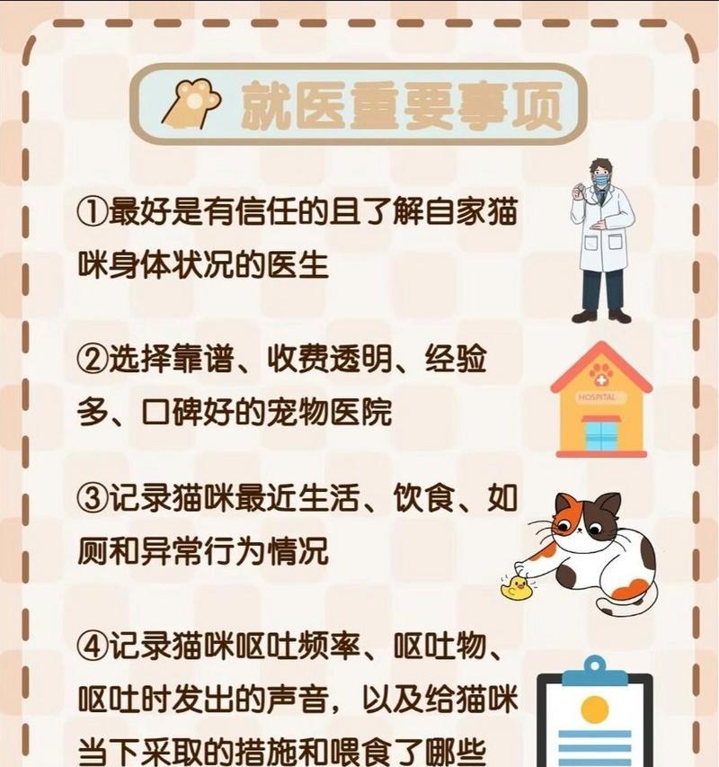 猫反复拉肚子不吐猫粮怎么办？如何处理猫的消化问题？
