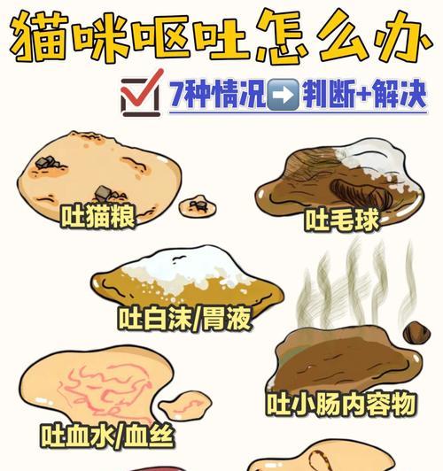 小猫咪吃猫粮呕吐怎么办？是否需要停止喂食？