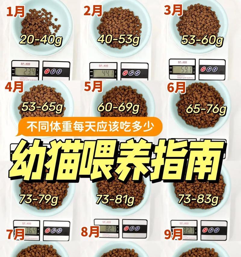 幼猫喂食猫粮是否需要定量及其原因？