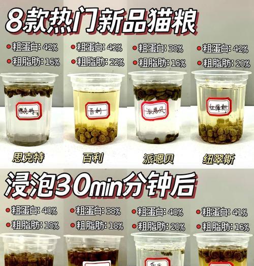 泡猫粮好坏怎么看？泡猫粮的正确方法是什么？