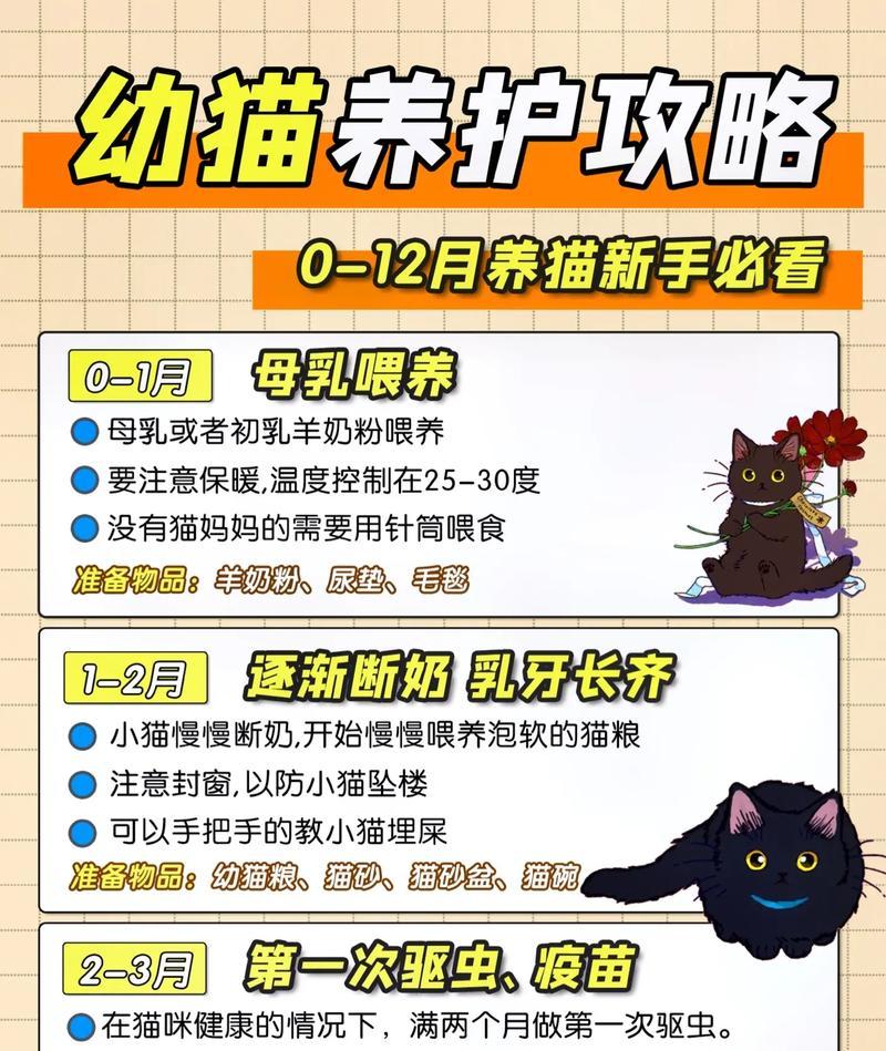 幼猫的最佳饲喂方法是什么？
