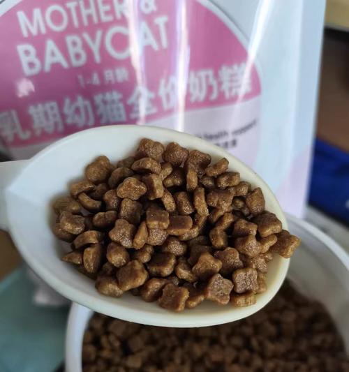 猫皇用什么猫粮好吃一点