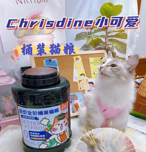 猫咪被冤枉偷吃猫粮怎么处理？如何证明它的清白？