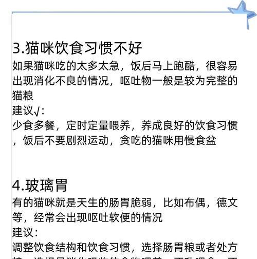 我家猫吐猫粮是什么原因？如何处理？
