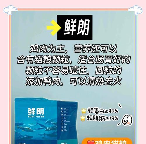 冬天布偶猫不吃猫粮该如何应对？