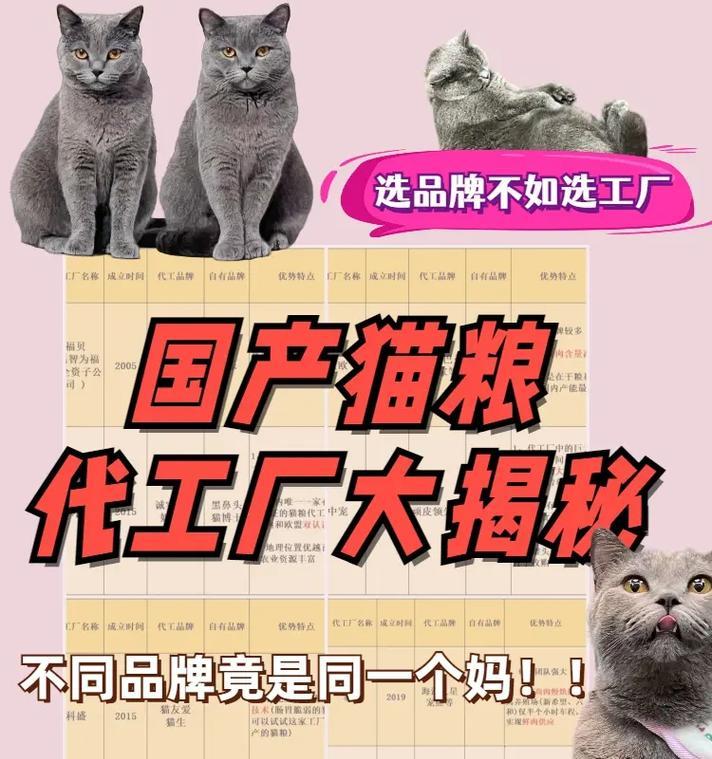 代工猫粮需要什么手续呢？流程和要求是什么？