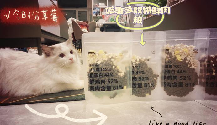 如何用猫粮训练猫咪？训练猫咪吃东西有哪些技巧？