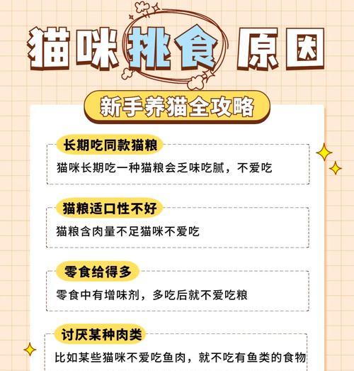 如何解决吃猫粮粘嘴上的问题？