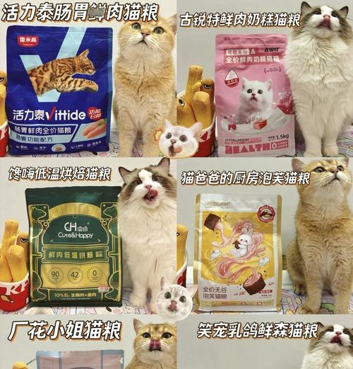 怀孕猫咪适合哪种猫粮？