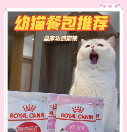 湿粮猫粮有鱼腥味正常吗？如何减少腥味？