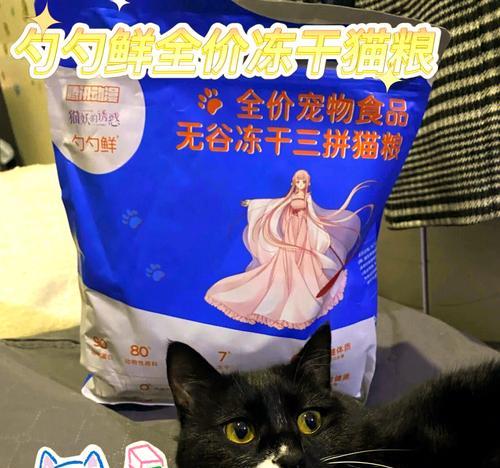猫粮变质后为何散发异味？如何预防和处理？