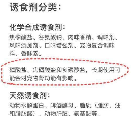 猫咪在猫粮旁边排泄怎么办？如何训练它们？