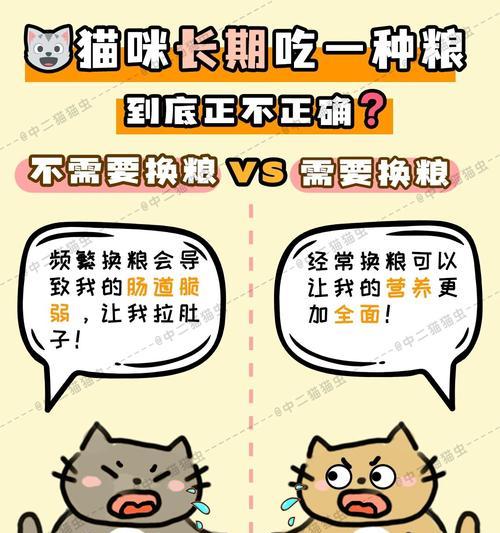 猫咪持续进食猫粮是正常现象吗？如何判断猫咪是否过食？
