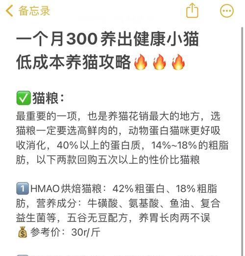 猫粮自动开机怎么回事？如何解决这一问题？