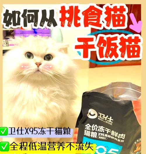 猫粮自动开机怎么回事？如何解决这一问题？