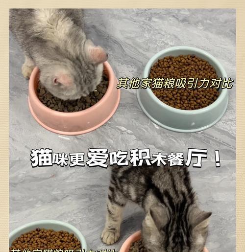 猫咪用手捧着猫粮吃有什么影响？这样做是否卫生？