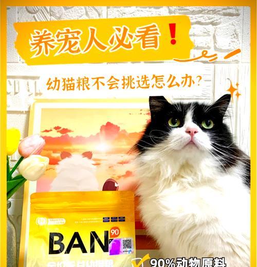 新接回家的猫需要过度猫粮吗？这样做有什么好处？