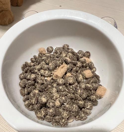 蓝氏猫粮变质后会有怎样的气味？