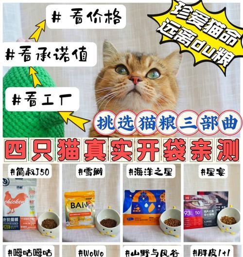 推荐猫都爱吃的猫粮是什么？如何选择适合猫咪口味的猫粮？