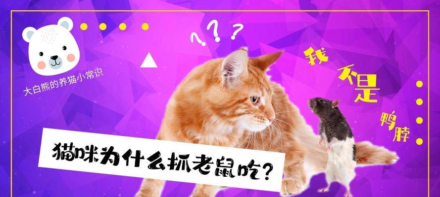如何防止猫咪吃老鼠？