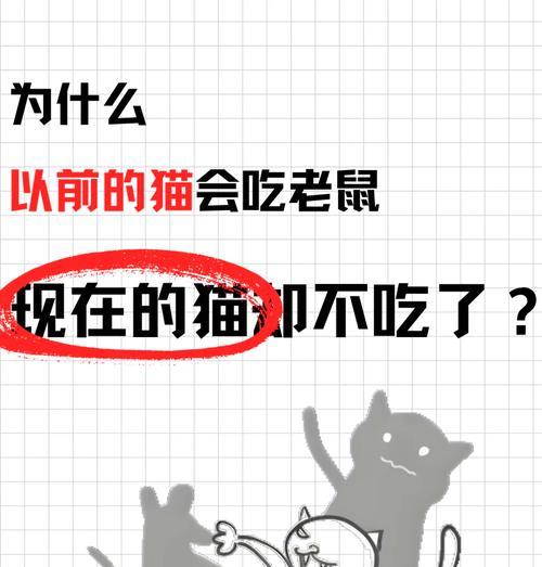 如何防止猫咪吃老鼠？