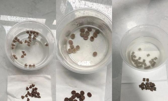 猫粮泡水后变臭的原因是什么？