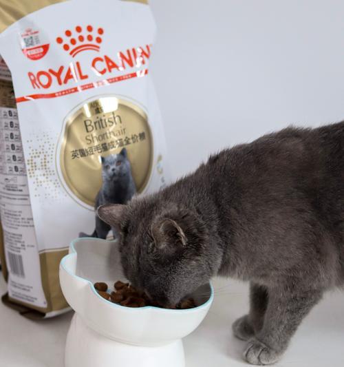 猫粮用闽南话怎么说？闽南话中猫粮的正确表达是什么？