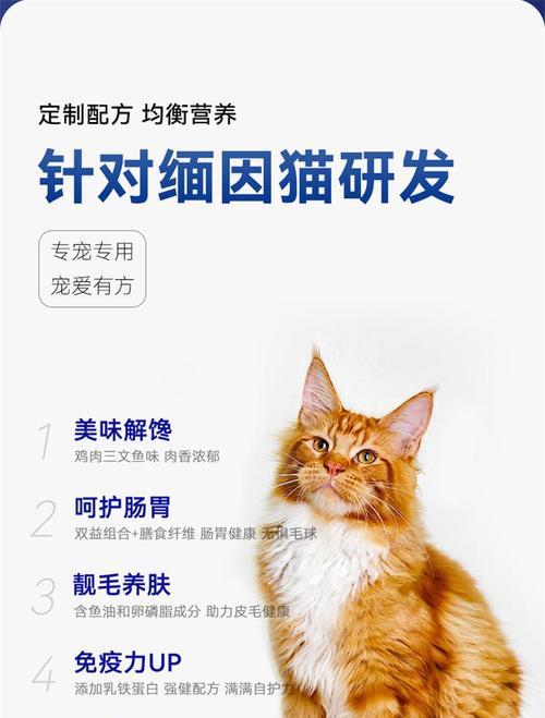 免疫猫适合哪种猫粮？如何选择增强免疫力的猫粮？