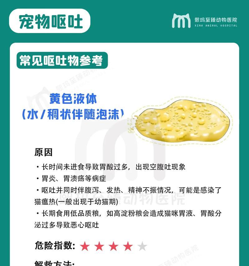 狗误食猫粮为何会呕吐？猫粮对狗的消化系统有何影响？