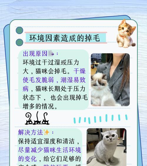 掉毛严重的小猫应该选择哪种猫粮？如何改善猫咪掉毛问题？