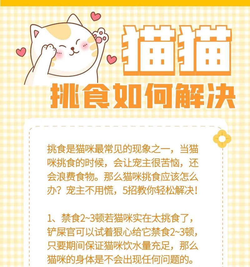 猫咪吃猫粮后捕鼠能力下降怎么办？有无改善方法？