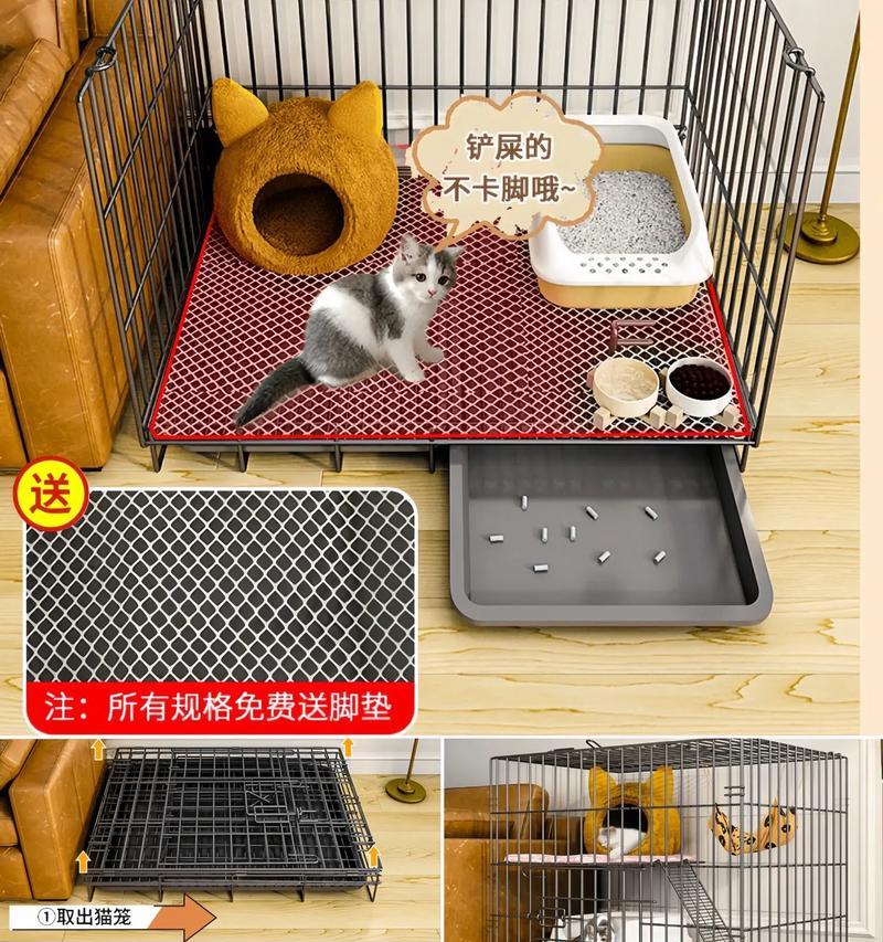 单猫双层猫笼如何放置猫粮？