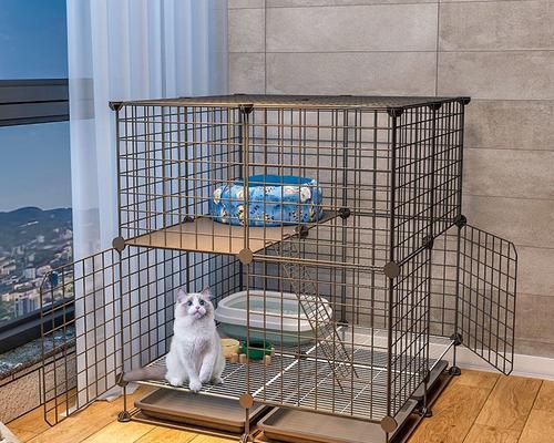 单猫双层猫笼如何放置猫粮？