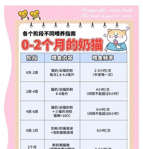 幼猫每天应该什么时候喂食？喂食时间对成长有何影响？