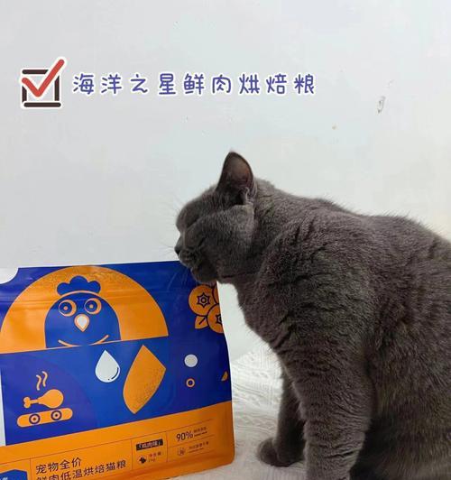 夜之城购买猫粮有何特别之处？