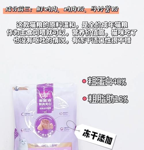 夜之城购买猫粮有何特别之处？