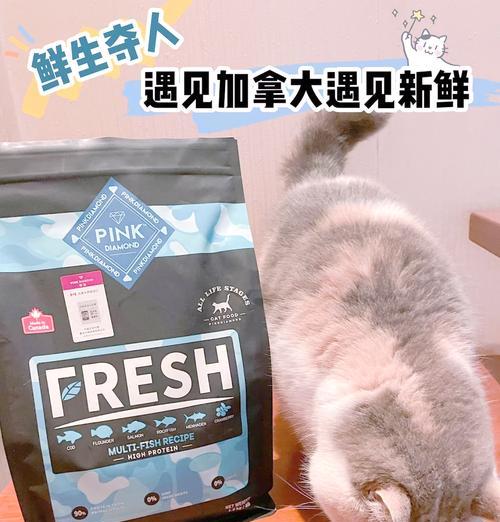 加拿大进口猫粮为什么进不来？有什么解决办法？