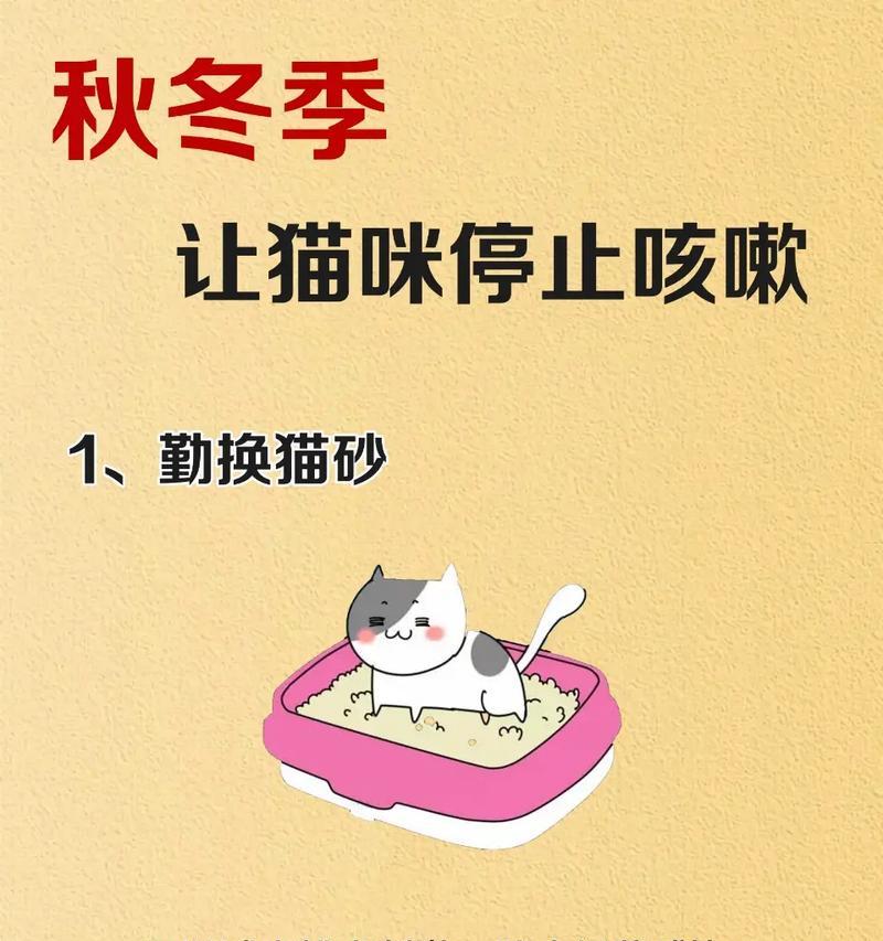 猫咪不吃猫粮且咳嗽该如何处理？