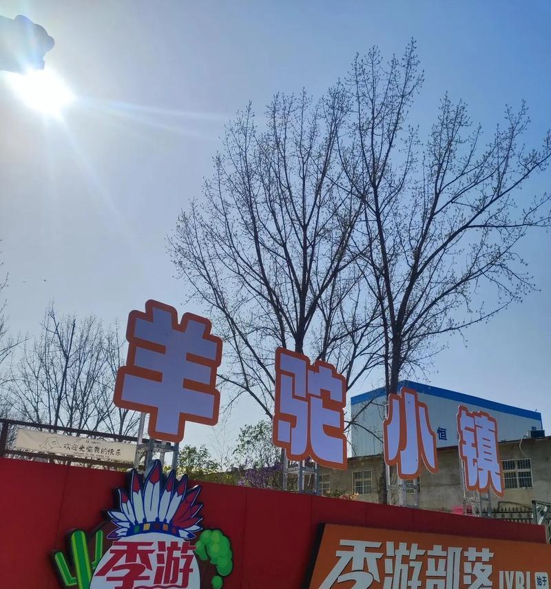 羊驼小镇还有哪些隐藏的乐趣？如何探索？