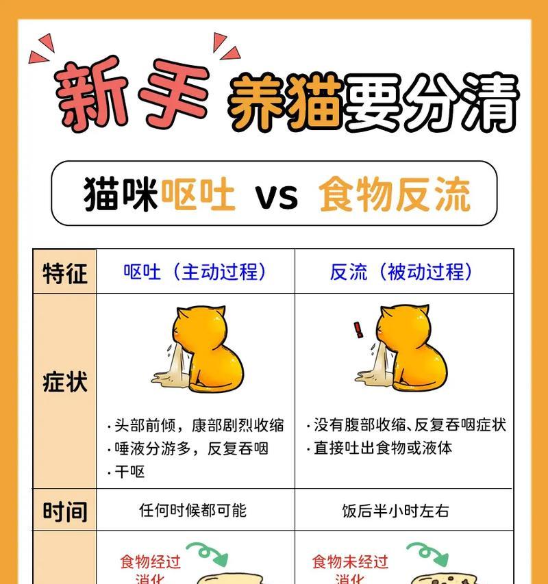 猫咪吃了猫粮后呕吐怎么办？可能的原因和解决方法是什么？