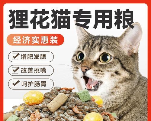狸花猫如何选择好的猫粮？在哪里可以购买到狸花猫专用的猫粮？