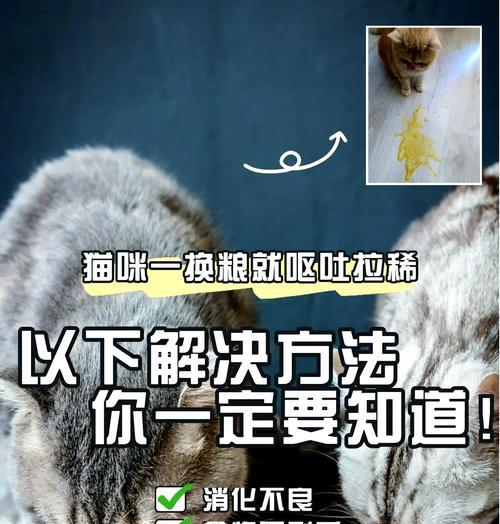 换猫粮时猫咪出现不适怎么办？