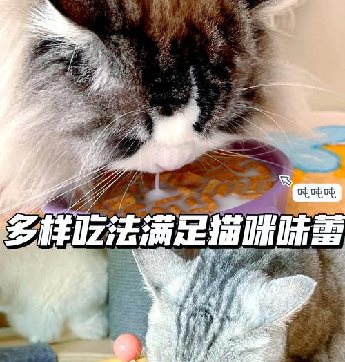 布偶猫喂食乳鼠是否合适以及正确的喂养方法是什么？